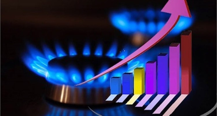 70 درصد گاز ارسالی به شبکه در بخش خانگی مصرف می شود