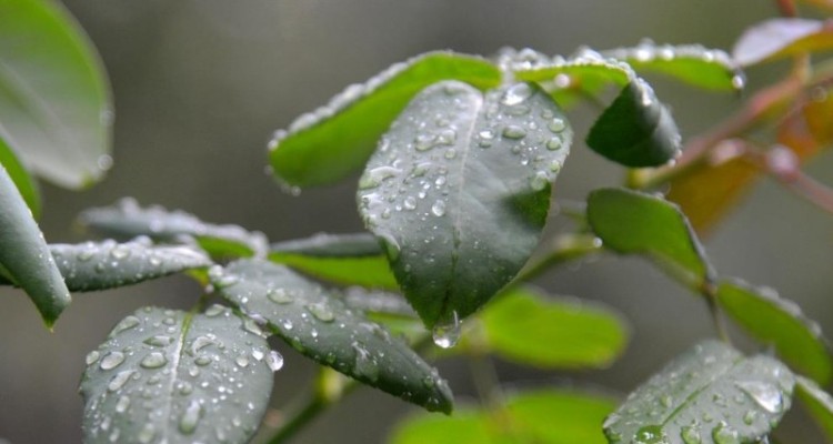 سامانه بارشی جدید وارد استان می شود