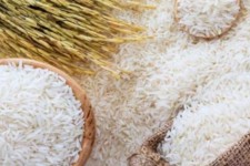 توزیع بیش از 6 هزار کیلوگرم برنج در بین خانواده‌های نیازمند ایلامی