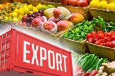 294 هزار تن محصول کشاورزی از مرز مهران به عراق صادر شد