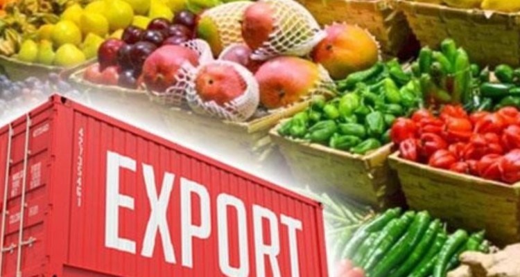 294 هزار تن محصول کشاورزی از مرز مهران به عراق صادر شد