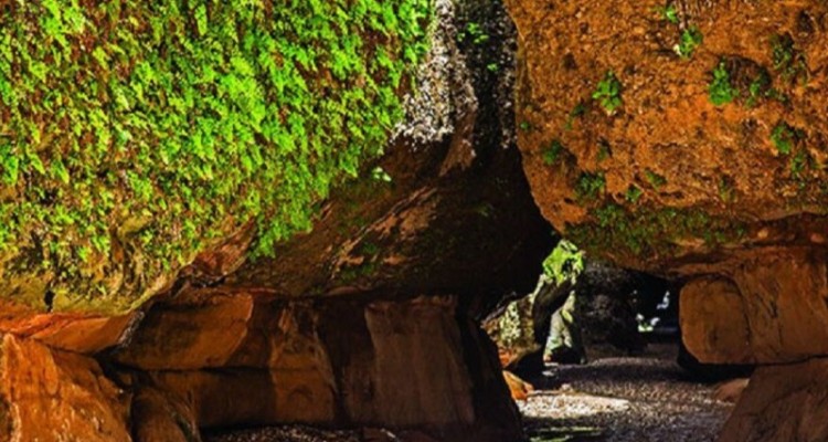 زینگان؛ بهشت پنهان زاگرس