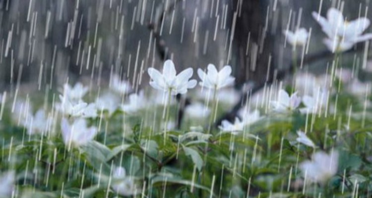 بارش رگباری پدیده غالب آسمان ایلام در امروز