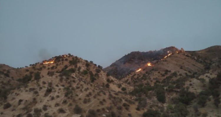 آتش‌سوزی جنگل‌های روستای بانروشان مهار شد