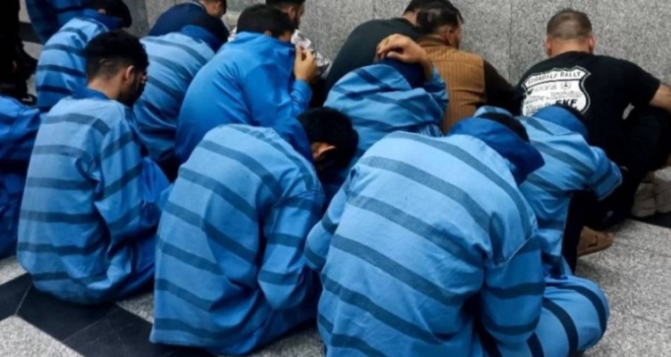 12 سارق حرفه ای در ایلام دستگیر شدند