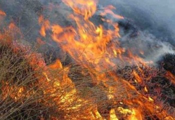 کاهش ۲۰ درصدی آتش‌سوزی‌ در طبیعت ایلام/سهل‌انگاری‌ همچنان تهدید است