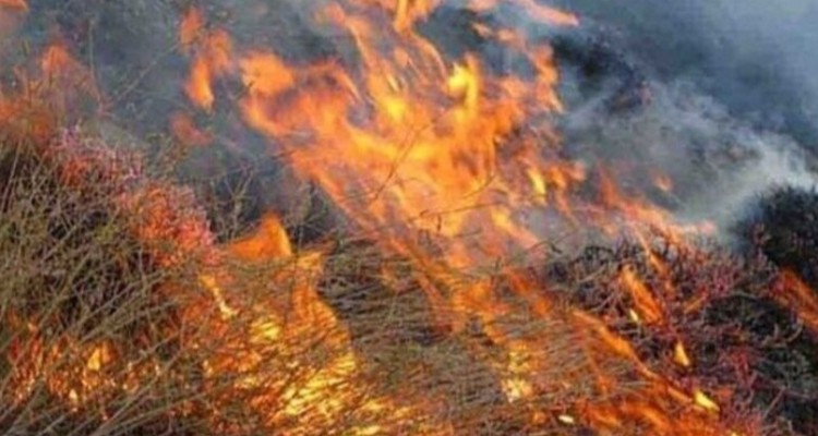 کاهش ۲۰ درصدی آتش‌سوزی‌ در طبیعت ایلام/سهل‌انگاری‌ همچنان تهدید است