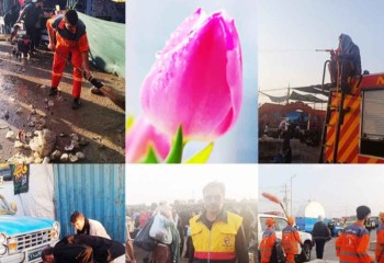 اربعین ۱۴۰۴؛ عطر گل‌های بهاری در گرمای تابستان مهران ✍️ مجتبی تابش