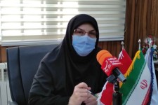 صادرات کالای استاندارد از مرز مهران به ۸۹ هزار تن رسید