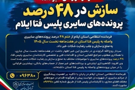 سازش در ۴۸ درصد پرونده‌های سایبری پلیس فتا ایلام
