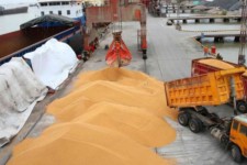 افزایش 38 درصدی توزیع نهاده‌های دامی در استان ایلام