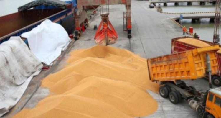 افزایش 38 درصدی توزیع نهاده‌های دامی در استان ایلام