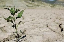 کاهش 50 درصدی بارندگی در ایلام/ فرونشست زمین درپی خشکسالی و برداشت بی‌رویه آب