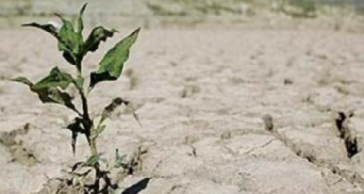 کاهش 50 درصدی بارندگی در ایلام/ فرونشست زمین درپی خشکسالی و برداشت بی‌رویه آب