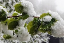 سامانه بارشی با هسته سرد ایلام را در برمی‌‎گیرد