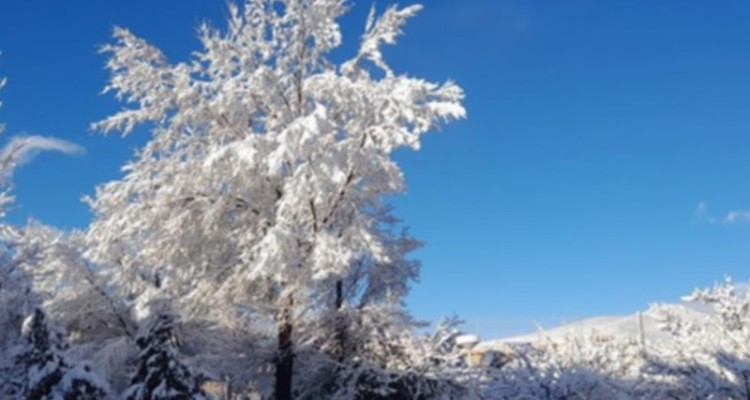 ورود سامانه جدید بارشی از امشب تا سه شنبه (28 دی) به ایلام