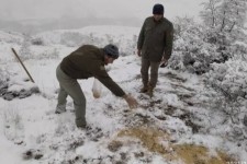 محیط بانان ایلامی با دانه و علوفه پاشی به کمک وحوش رفتند