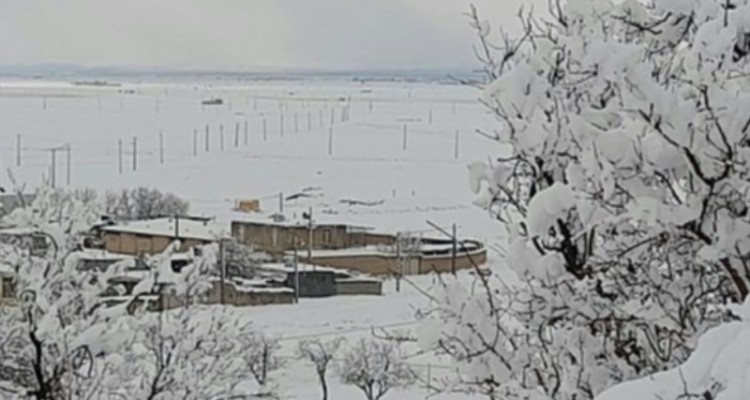 تاخیر یک ساعته فعالیت ادارات و مدارس در شنبه