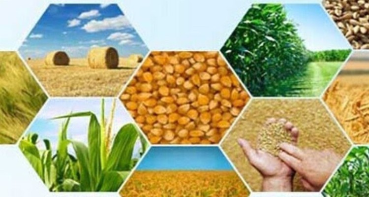 کشاورزان ایلامی چشم انتظار اجرای مصوبات سفر رئیس جمهور