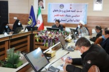 اجرای ۵۰۰ برنامه توسط کمیته همیاری دهه فجر در استان ایلام