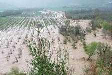 مسئولان استان ایلام مصوبات سفر اخیر رئیس جمهور را پیگیری کنند