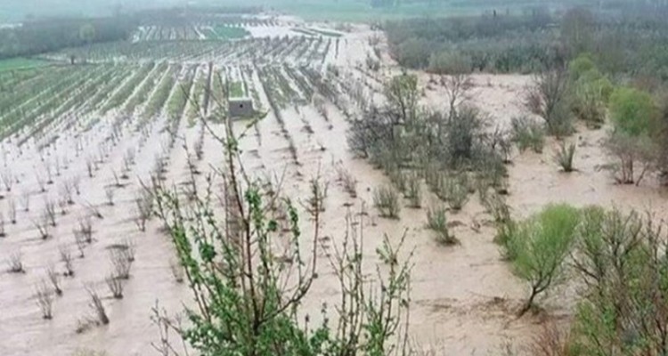 مسئولان استان ایلام مصوبات سفر اخیر رئیس جمهور را پیگیری کنند