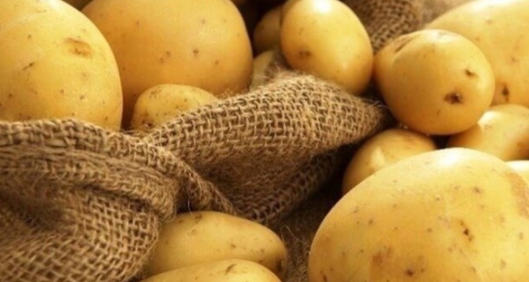 قیمت سیب‌زمینی چهره ایلامی‌ها را سرخ کرد/ بازهم دست دلال‌ها در کار است