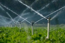 ۱۰ درصد صرفه جویی در آب کشاورزی بحران آب در ایلام را حل خواهد کرد