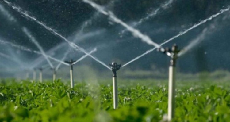 ۱۰ درصد صرفه جویی در آب کشاورزی بحران آب در ایلام را حل خواهد کرد