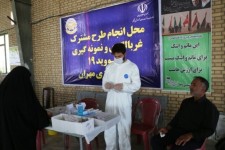 زائران پیش از بازگشت در عراق تست پی سی آر بدهند