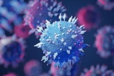 شناسایی ۷۱ مورد جدید مبتلا به کرونا ویروس در ایلام