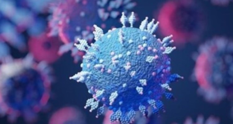 شناسایی ۷۱ مورد جدید مبتلا به کرونا ویروس در ایلام