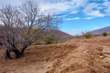 جو استان ایلام تا روز چهارشنبه (20 بهمن) پایدار خواهد بود