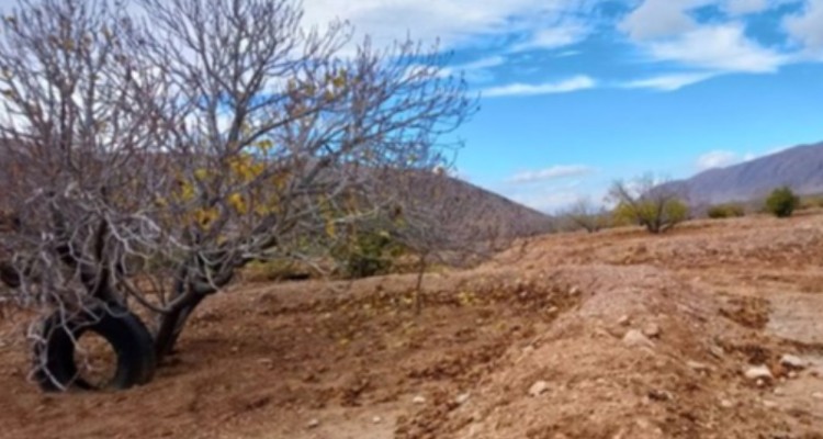 جو استان ایلام تا روز چهارشنبه (20 بهمن) پایدار خواهد بود