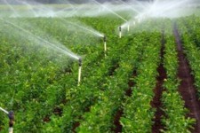 تبدیل ۱۴۰ هکتار از اراضی دیم به آبی توسط پروژه ایستگاه پمپاژ «گنبد پیرمحمد»