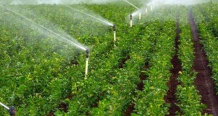 تبدیل ۱۴۰ هکتار از اراضی دیم به آبی توسط پروژه ایستگاه پمپاژ «گنبد پیرمحمد»