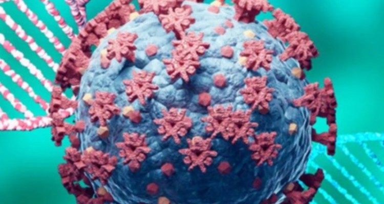 افرایش 110 درصدی تعداد مبتلایان به کرونا در ایلام/ 7 شهرستان در وضعیت قرمز قرار گرفته‌اند