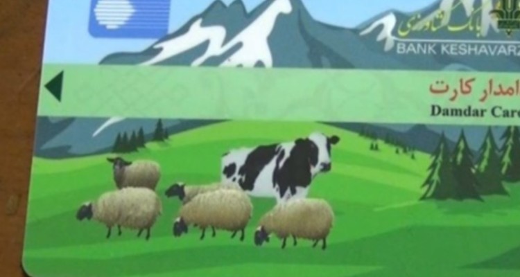 کاسه چه کنم در دست دامداران عشایر و روستا