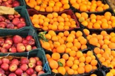 توزیع 300 تن میوه شب عید از 20 اسفند در ایلام