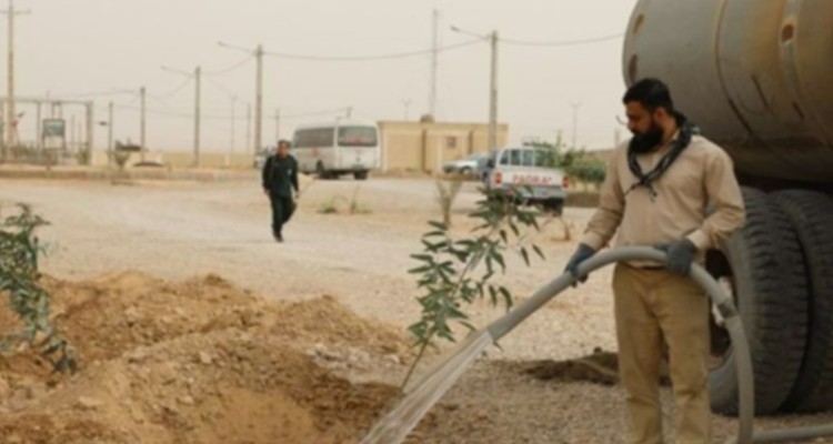 ۱۰۰ هزار اصله نهال در هفته منابع طبیعی کاشت می‌شود