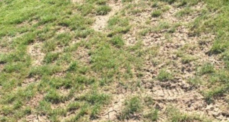 زمین چمن هلیلان سرمایه ای رها شده