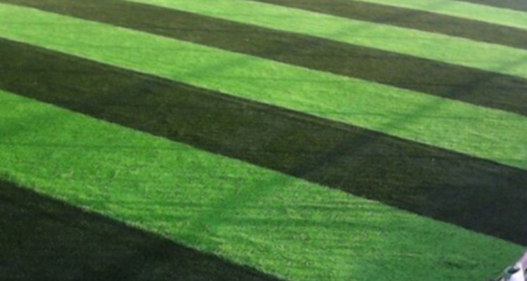 احداث ۳۷ زمین چمن مصنوعی و ۵ سالن ورزشی درون مدرسه‌ای در استان ایلام