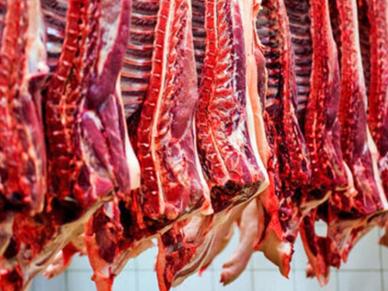 اجرای طرح تولید قراردادی گوشت در ایلام اجرای طرح تولید قراردادی گوشت در ایلام