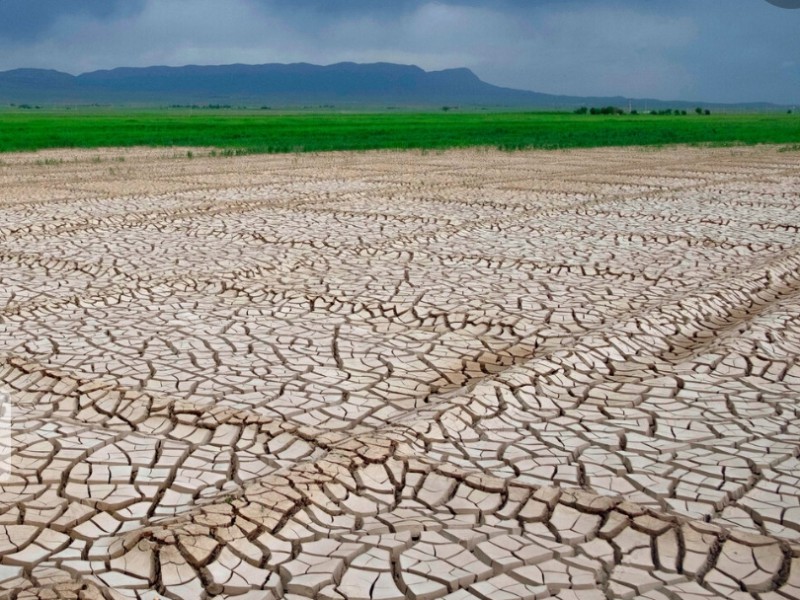 پرداخت خسارت خشکسالی به کشاورزان ایلامی پرداخت خسارت خشکسالی به کشاورزان ایلامی