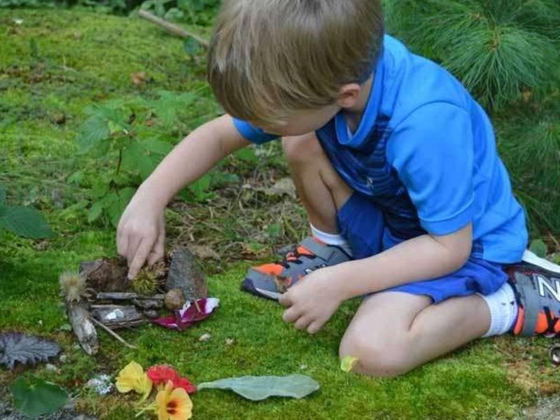 طراحی سامانه کودک زیست توسط اداره محیط زیست ایلام طراحی سامانه کودک زیست توسط اداره محیط زیست ایلام