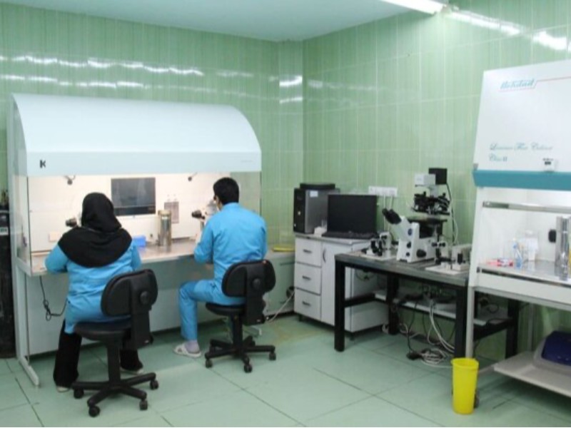 افزایش خدمات رسانی بیمه سلامت به زوج های نابارور در استان ایلام