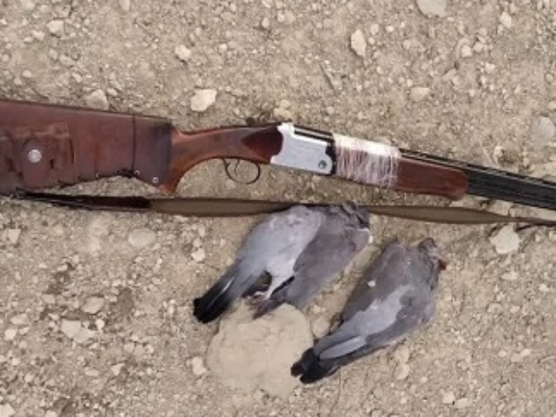 دستگیری متخلف شکار غیر مجاز پرندگان در شهرستان ایلام دستگیری متخلف شکار غیر مجاز پرندگان در شهرستان ایلام