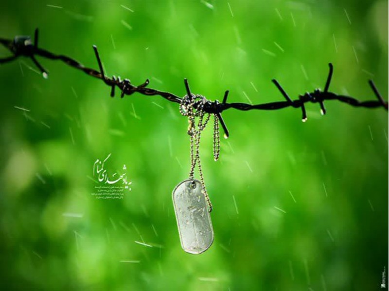 پیکر مطهر شهید دفاع مقدس پس از چهار دهه تفحص شد پیکر مطهر شهید دفاع مقدس پس از چهار دهه تفحص شد