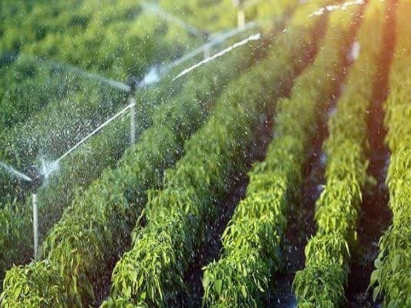 پیشرفت 87 درصدی سامانه گرمسیری ایلام پیشرفت 87 درصدی سامانه گرمسیری ایلام