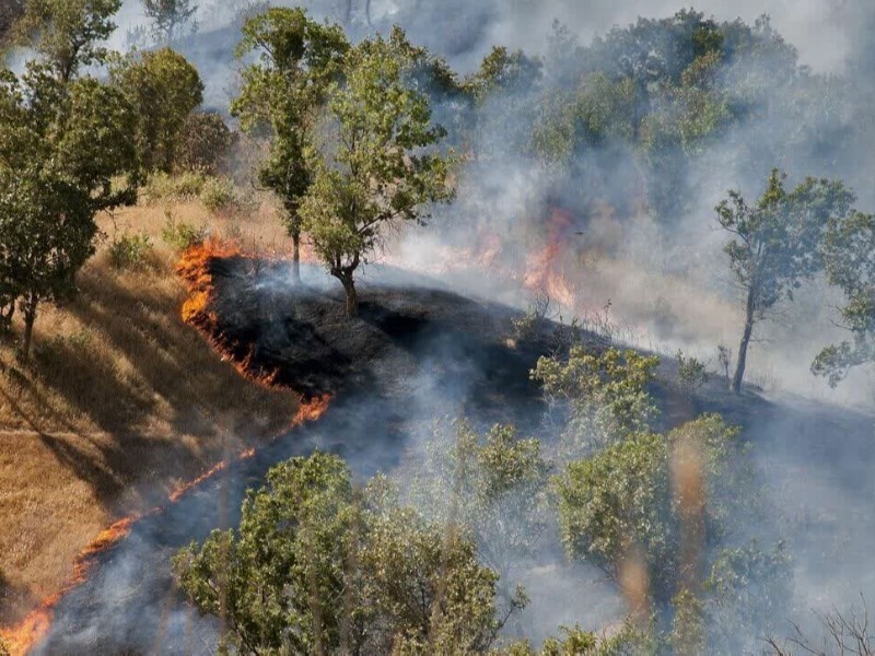 ایجاد یک هزار کیلومتر آتش بر در اراضی ملی ایلام ایجاد یک هزار کیلومتر آتش بر در اراضی ملی ایلام